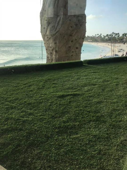 Det finns olika varianter av gröna tak vi har valt att jobba med sedum…