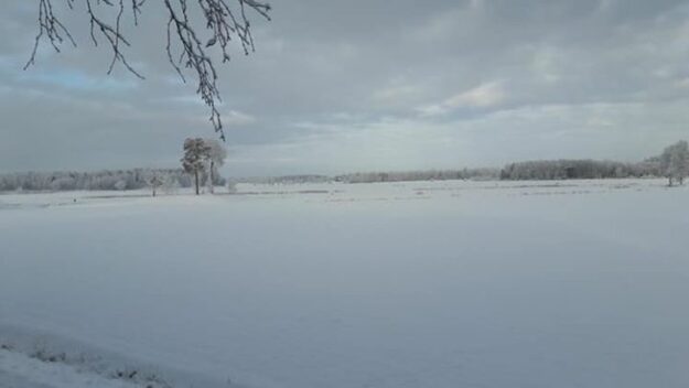 Gräsmatta i vinterskrud️️️