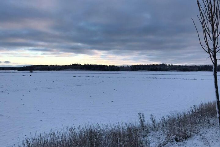 Vågar vi drömma om en vit jul!?️