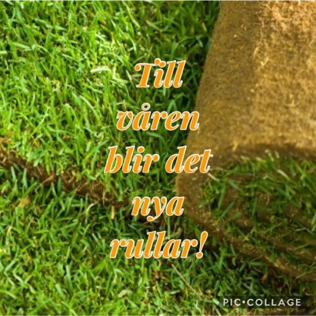 Många ringer än och vill ha gräs men tyvärr kan vi inte ta upp…