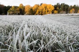 Under denna årstid när vi inte längre har upptagningen igång så har vi öppet…
