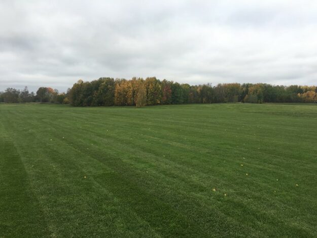Förra veckan var vi i Norrköping för att lägga 14 000m² storrulle på en…