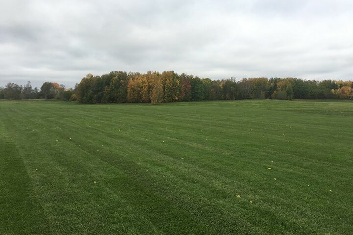 Förra veckan var vi i Norrköping för att lägga 14 000m² storrulle på en…