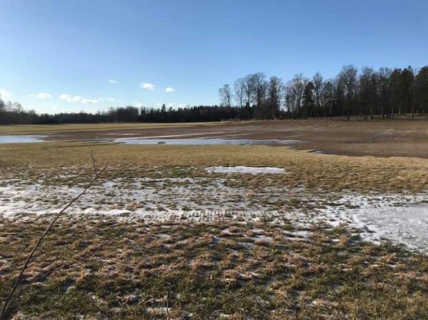 Visst syns det att vi går åt rätt håll️