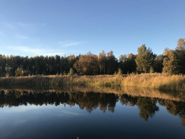Vilken dag️