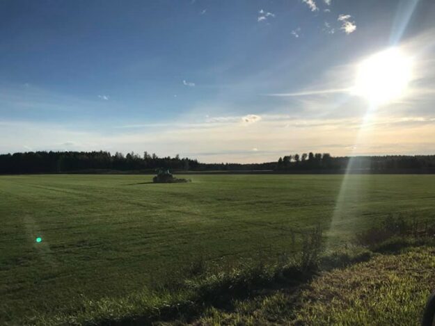 Gräset växer så det knakar och vi har fullt sjå att hinna med och…