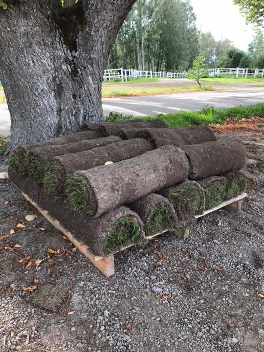 En liten pall som ska hämtas av kund idag, ni vet väl att vi…
