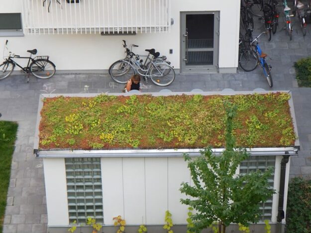 Grönt tak- vackert, klimatsmart och bra för miljön! #sedum