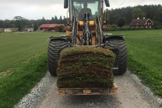 Sedumbeställning ihopplockad! Mattorna är 0,8m2 stora, man köper precis så mycket eller lite man