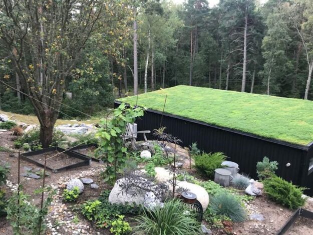 Nylagd ängsmatta hos kund där vi för en månad sedan la detta vackra sedumtak!…