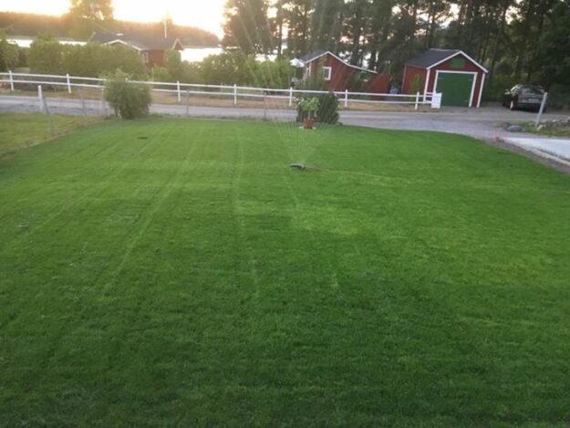 Denna kund fick sitt gräs tidigare i somras och skickade ett sms idag Det…