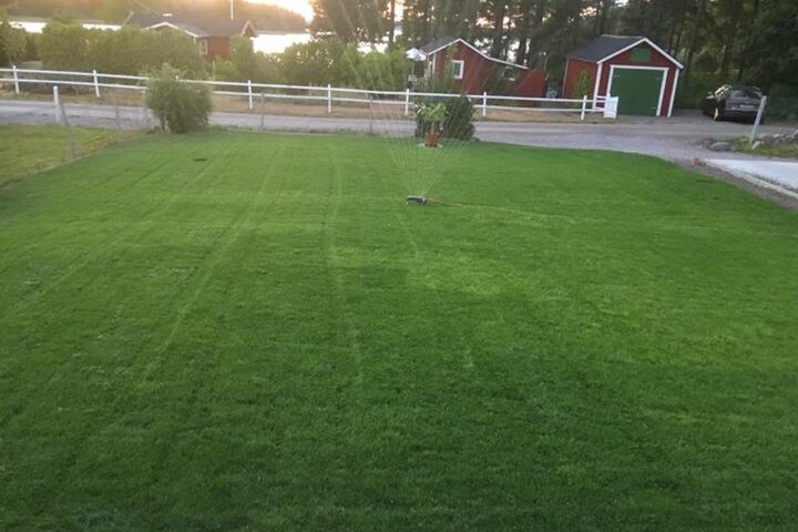 Denna kund fick sitt gräs tidigare i somras och skickade ett sms idag Det…