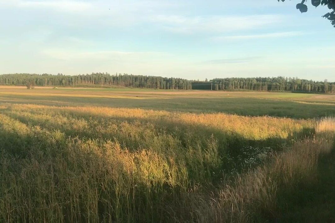 Klockan 21,00 på kvällen! Soligt, ljust och varmt och full fart på Nygård️ Två…