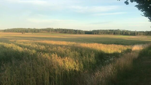 Klockan 21,00 på kvällen! Soligt, ljust och varmt och full fart på Nygård️ Två…
