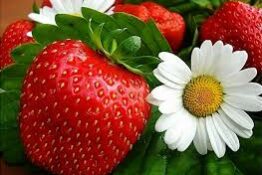 Glad midsommar🇸🇪 Nu tar vi ledigt några dagar och njuter av sill & potatis,…