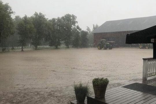 Vilket avslut på en bra vecka, äntligen kom regnet som vi längtat efter️️ Midsommarfika,…