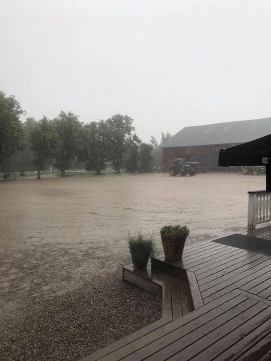 Vilket avslut på en bra vecka, äntligen kom regnet som vi längtat efter️️ Midsommarfika,…
