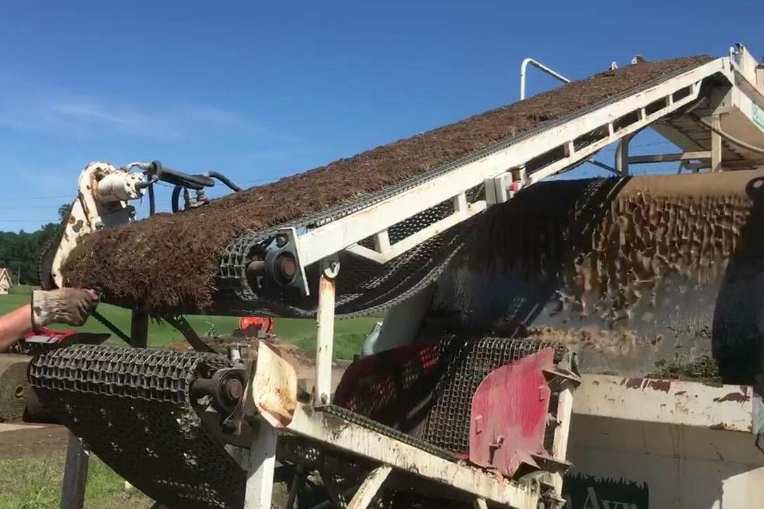 Äntligen är grästvättmaskinen igång