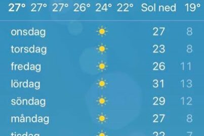 Just nu vill vi inte se detta️️️ Underbart såklart men gräsmattorna vill gärna ha…