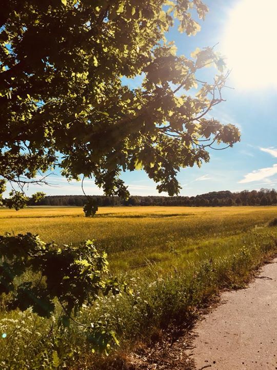 Älskar när våra goda grannar skickar fina bilder från odlingen️