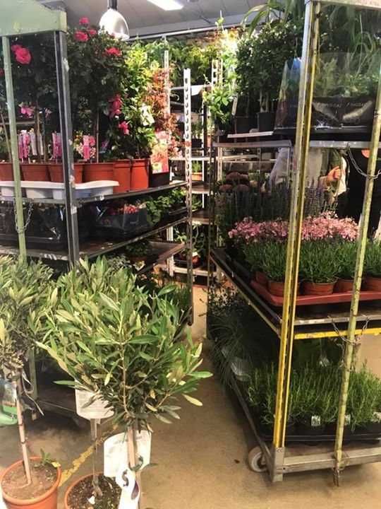Blommor inköpta till söndagens öppet hus, korv och fikabröd beställt från slottet️ Hoppas vi…