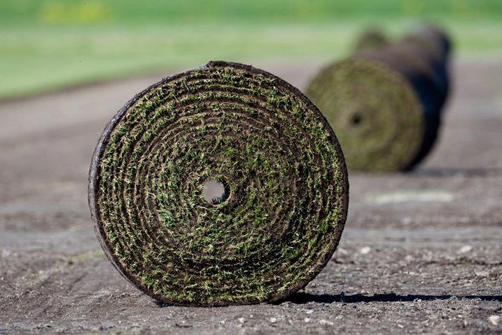 kortvecka-for-manga-denna-vecka-vilket-betyder-att-man-har-mycket-tid-att-lagga.jpg Kortvecka för många denna vecka vilket betyder att man har mycket tid att lägga…