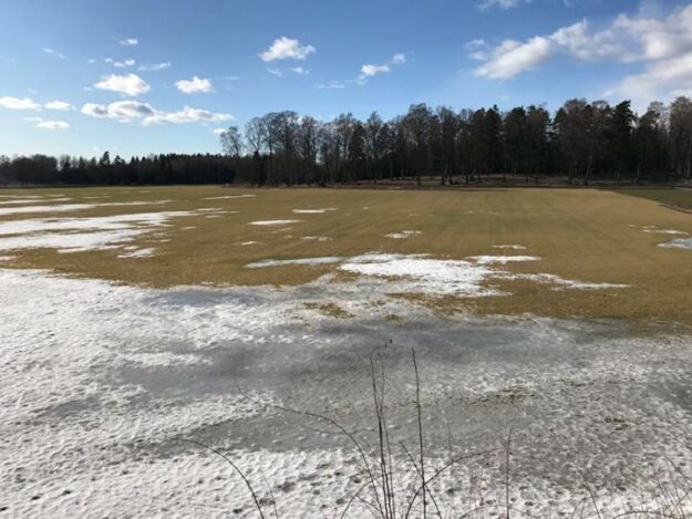 Påskvecka och strålande solsken! Nu äntligen börjar snötäcket lätta️️