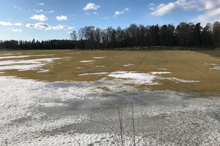 Påskvecka och strålande solsken! Nu äntligen börjar snötäcket lätta️️