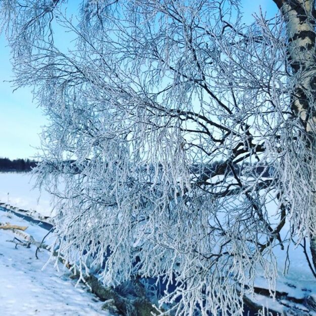 Vilken morgon på Nygård️️️