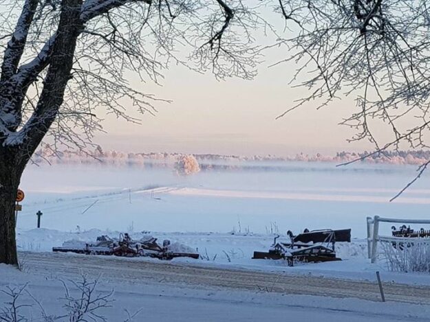 Härligt när grannarna tar bilder åt oss! Dessa vackra vinterdagar kan man inte låta…