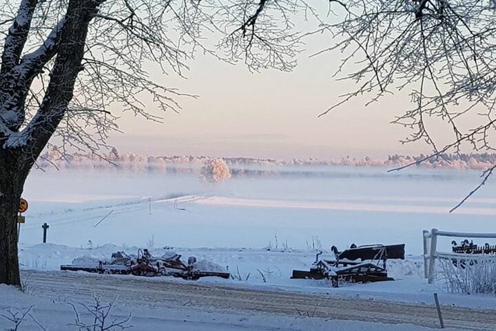 Härligt när grannarna tar bilder åt oss! Dessa vackra vinterdagar kan man inte låta…