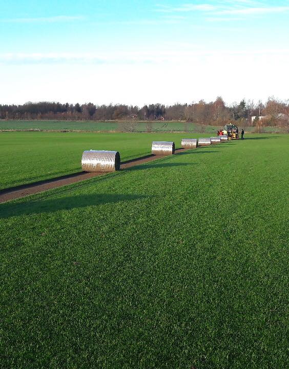 Mälarturf gör november lite grönare innan det blir vitt på marken️️