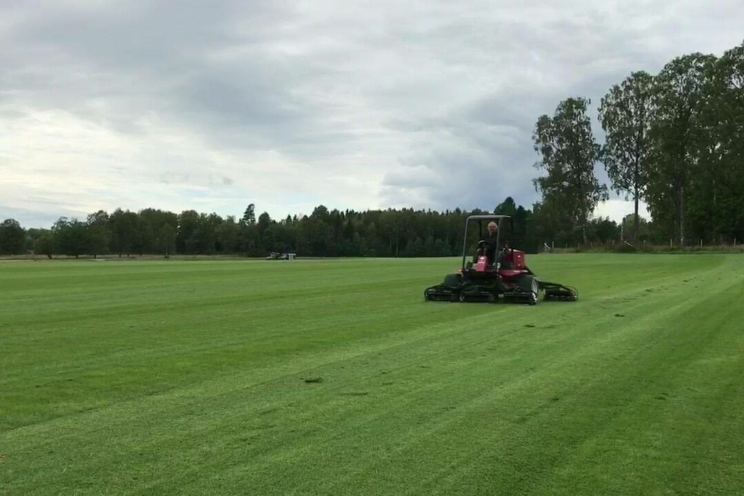 Vårt arenagräs växer lite fortare än villamattorna så vi klipper dem varannan dag! Tittar…