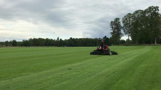 Vårt arenagräs växer lite fortare än villamattorna så vi klipper dem varannan dag! Tittar…