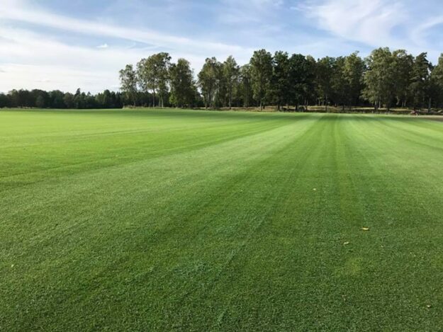 Visst är det vackert Vår exklusivaste gräskvalitet, Mälarturf Arena! Lite slitstarkare än vanlig villamatta…