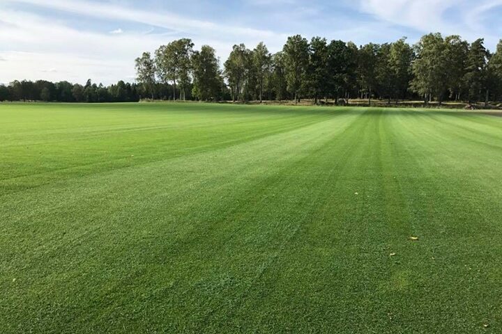 Visst är det vackert Vår exklusivaste gräskvalitet, Mälarturf Arena! Lite slitstarkare än vanlig villamatta…