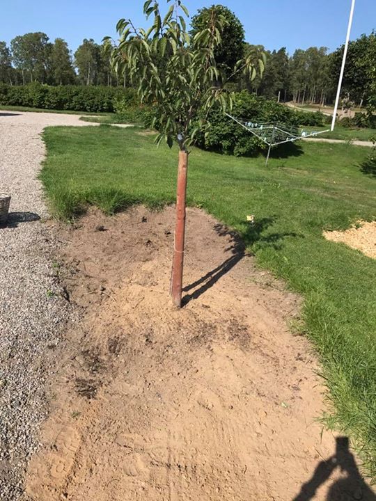Det är inte alltid det behövs så många rullar gräs men det kan göra…