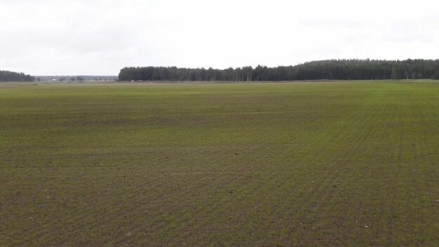 Nysådden kommer fint Rötmånad är gräsmånad. Lyckas vi med etableringen är halva slaget vunnet…