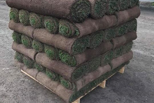 nu-ar-dagens-upptagning-klar-och-en-pall-fick-folja-med-in-till-gardsplanen.jpg Nu är dagens upptagning klar och en pall fick följa med in till gårdsplanen…