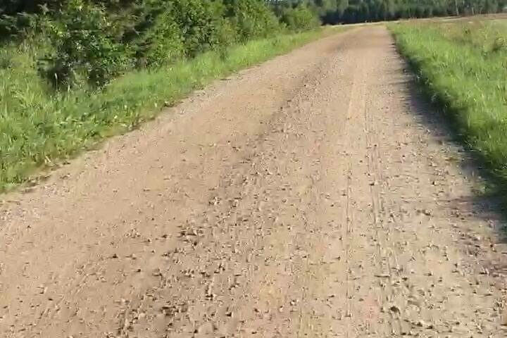 Så här vackra kvällar kan man inte stänga in sig i bilen, då får…