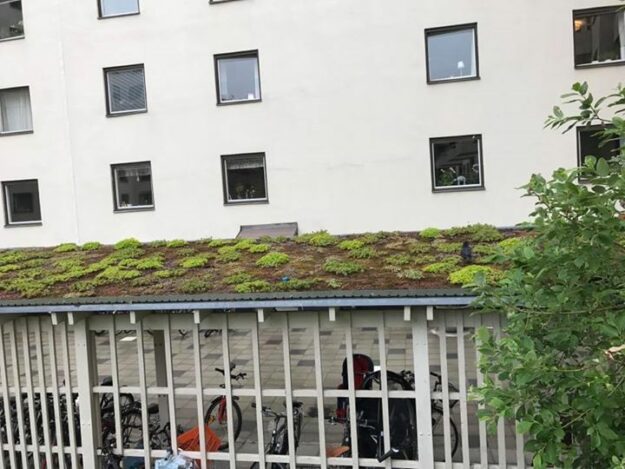 Gatunamnet kan inte vara mer passande när bonden tar med sig familjen till Stockholm…