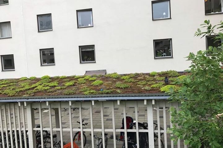 Gatunamnet kan inte vara mer passande när bonden tar med sig familjen till Stockholm…