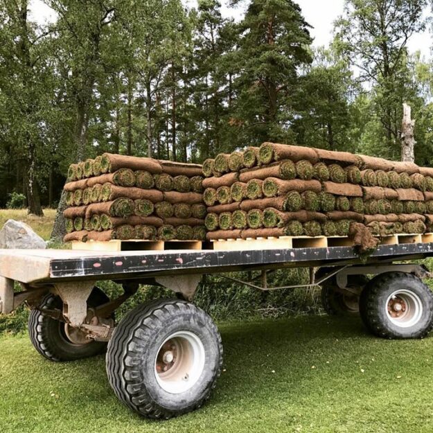 Lördagsleverans Trevlig helg️
