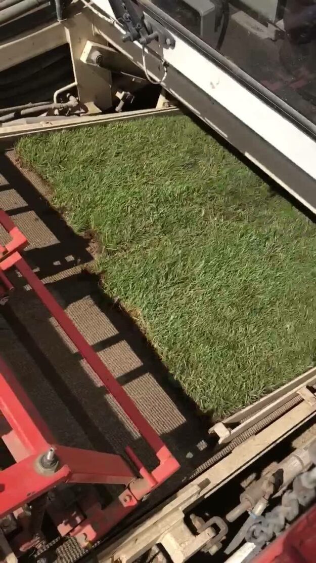 Trebron går hela sommaren så ni kan ägna semestern åt att rulla gräs️ Ring…