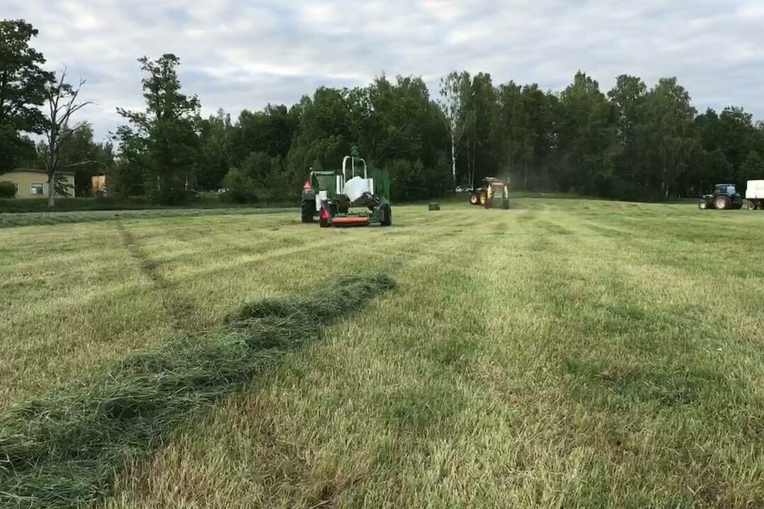 Allt gräs på Nygård blir inte gräsmatta! Lite blir foder åt bland annat Hans-Owe…
