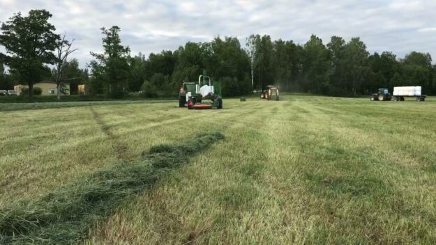 Allt gräs på Nygård blir inte gräsmatta! Lite blir foder åt bland annat Hans-Owe…