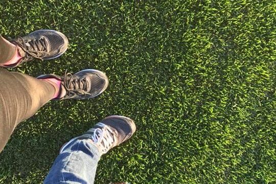 Hemma igen efter en härlig midsommarledighet gav vi oss ut på promenad över odlingen…