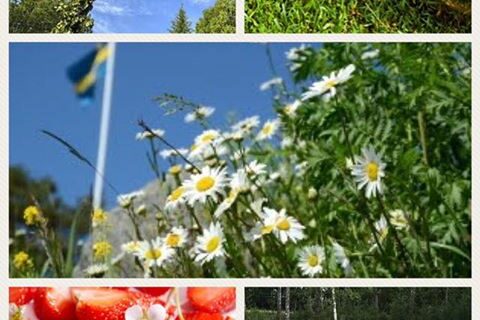 Nu får killarna några dagars välförtjänt vila! Midsommarhelgen är den enda helgen under säsongen…
