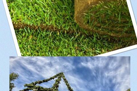 fint-i-tradgarden-till-midsommar-bestall-gras-senast-pa-onsdag-och-hamta-det-pa.jpg Fint i trädgården till midsommar🇸🇪 Beställ gräs senast på onsdag och hämta det på…