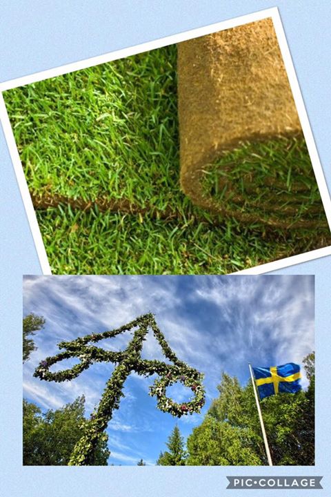 Fint i trädgården till midsommar🇸🇪 Beställ gräs senast på onsdag och hämta det på…